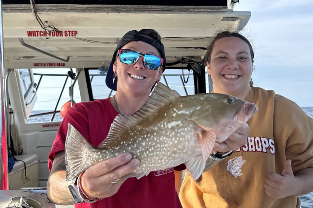 NEARSHORE-redgrouper