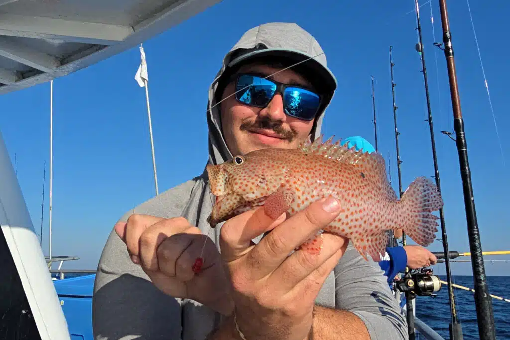 NEARSHORE-strawberry