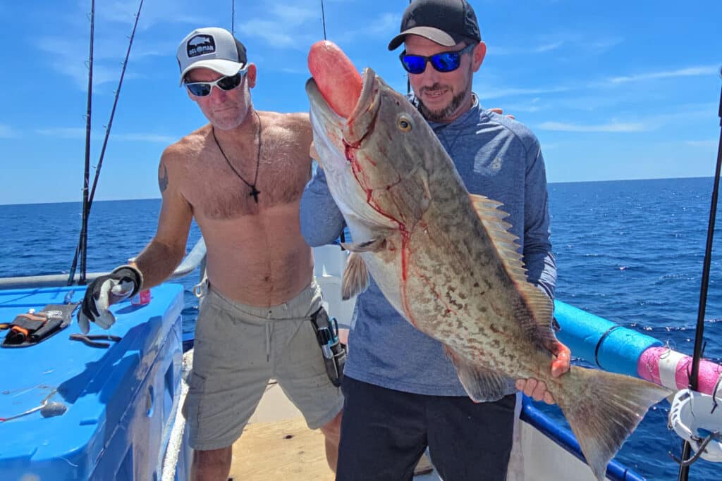 OFFSHORE-gaggrouper (1)