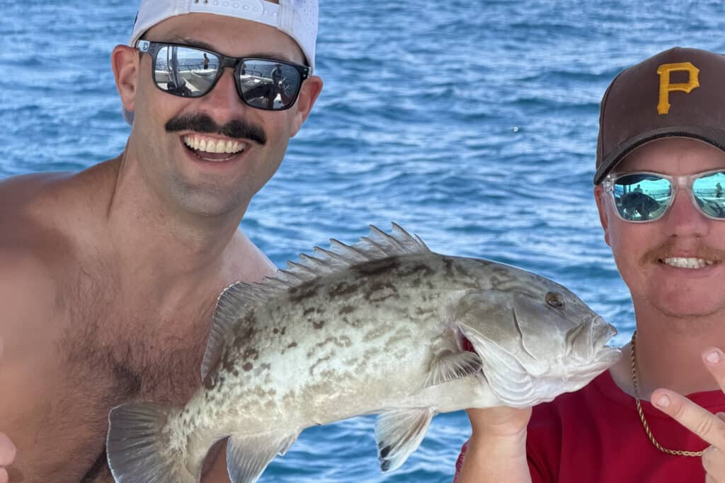 OFFSHORE-gaggrouper (2)