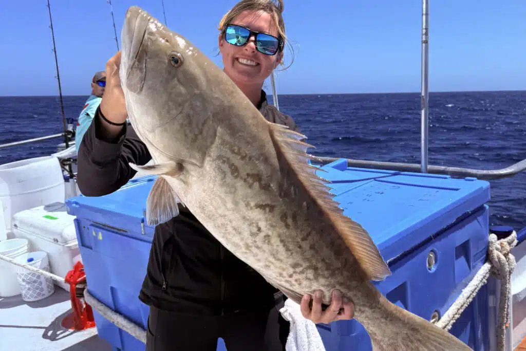 OFFSHORE-gaggrouper