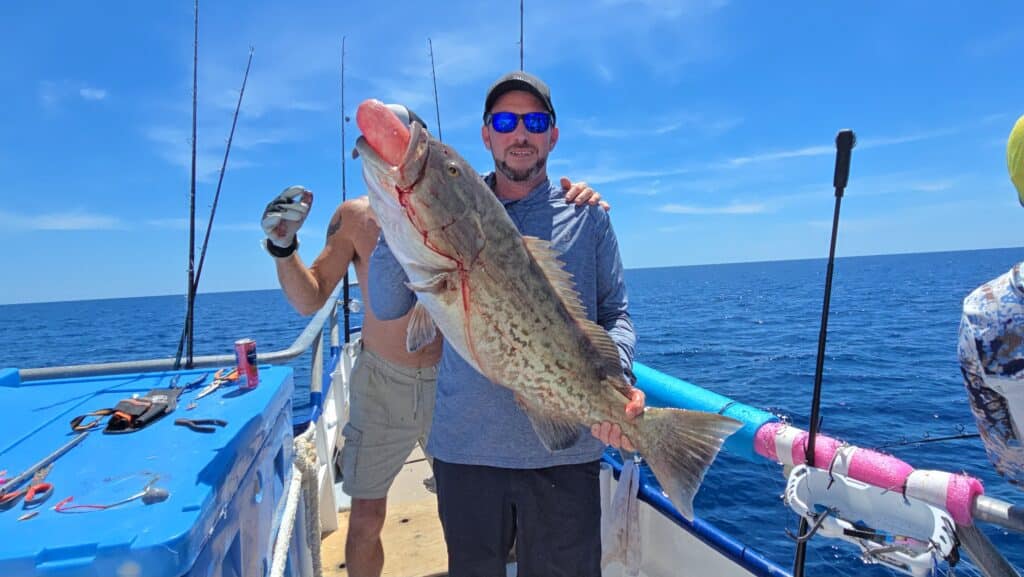 OFFSHORE-gaggrouper