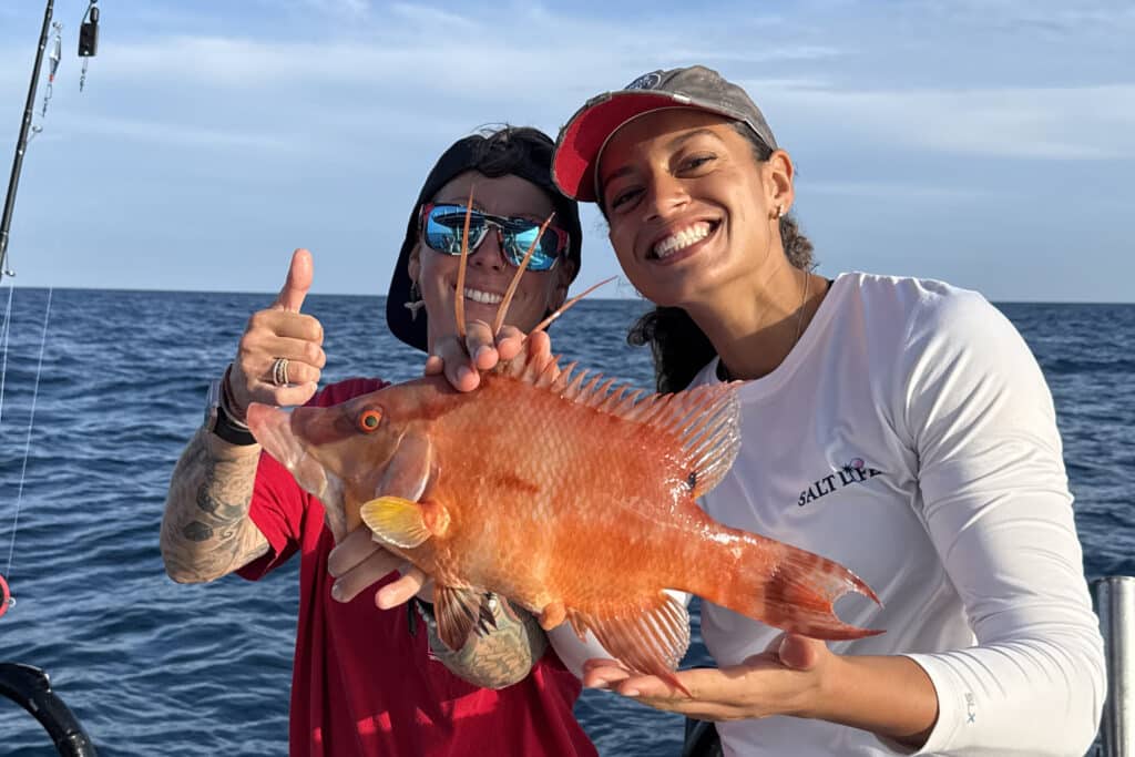 OFFSHORE-hogfish (2)