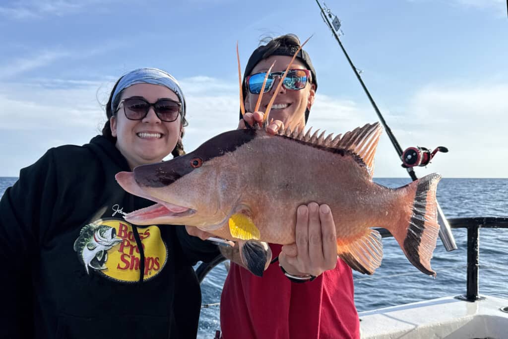 OFFSHORE-hogfish (3)