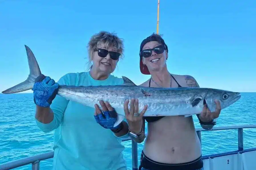 OFFSHORE-kingfish
