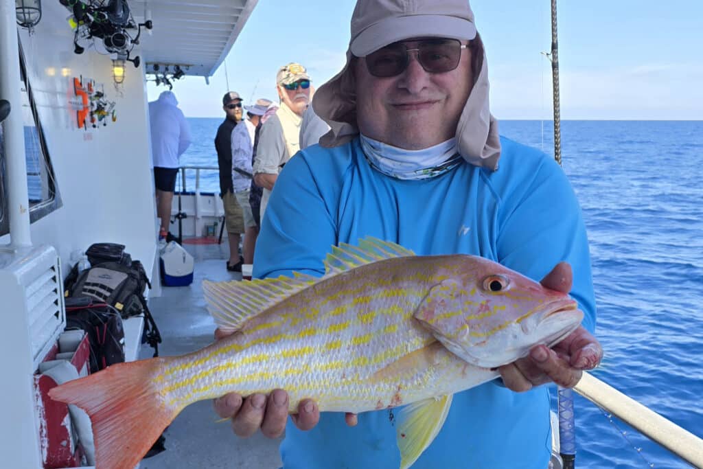 OFFSHORE-lanesnapper