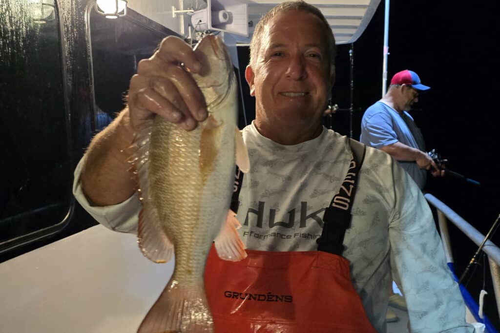 OFFSHORE-mangrove (11)