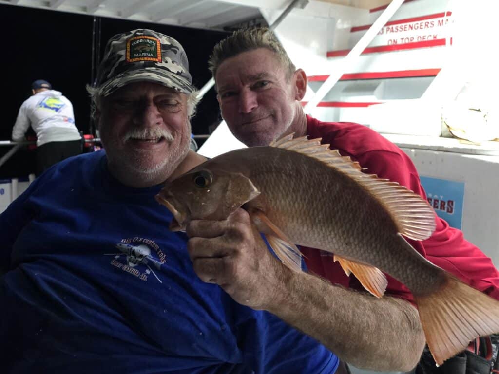 OFFSHORE-mangrove (12)