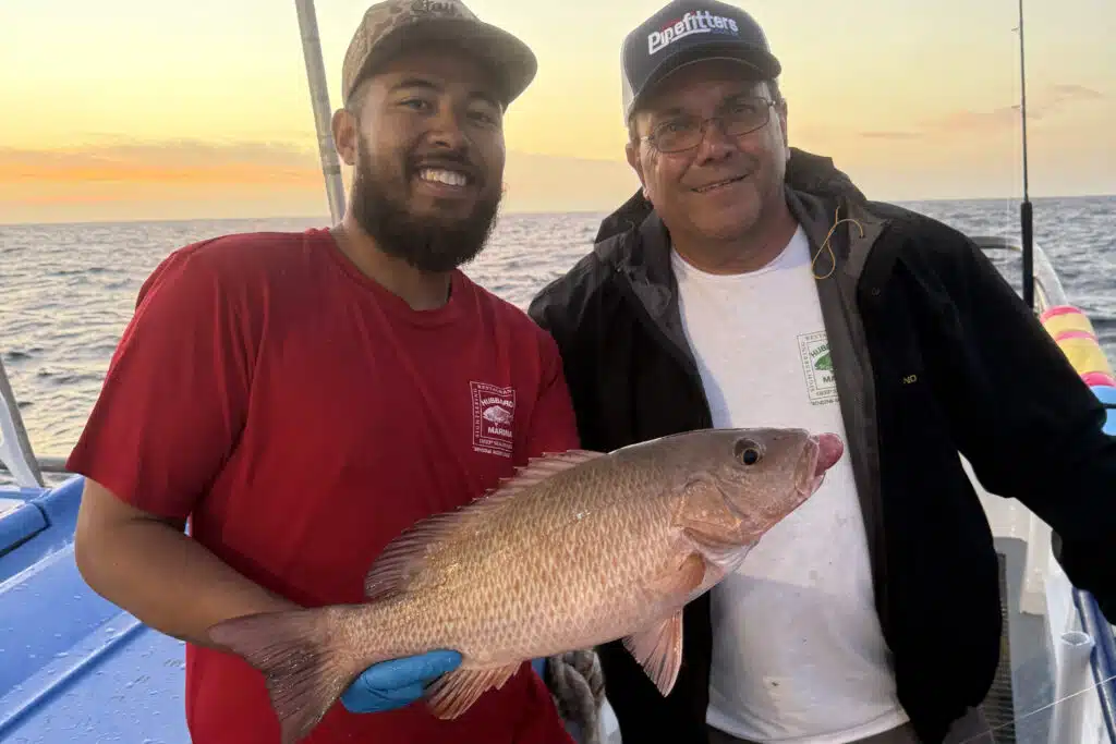 OFFSHORE-mangrove (5)