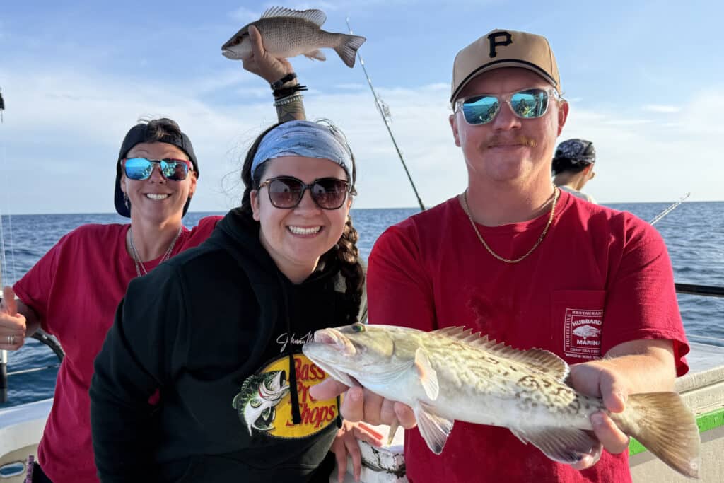 OFFSHORE-mangrove-gag