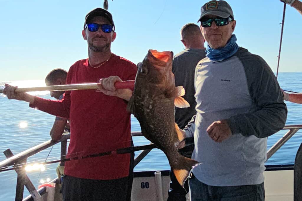 OFFSHORE-redgropuer (2)