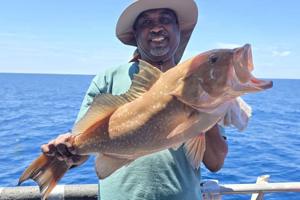 OFFSHORE-redgropuer-best