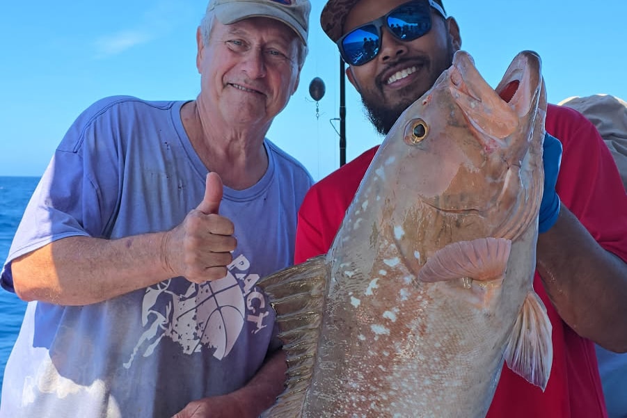 OFFSHORE-redgrouper (1)