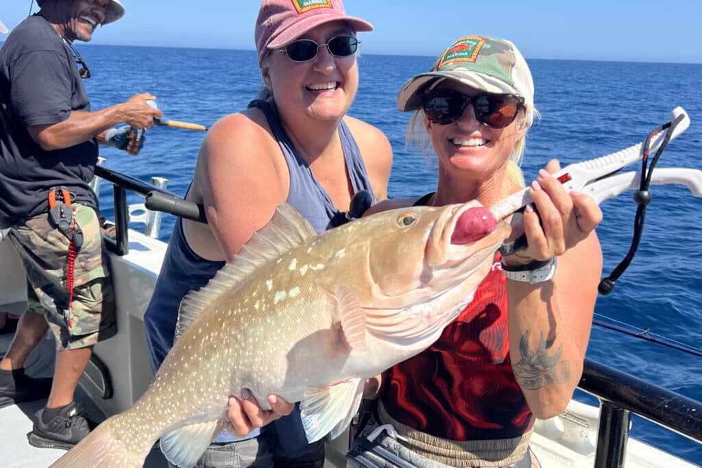 OFFSHORE-redgrouper (1)