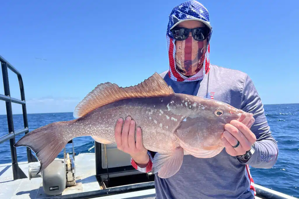 OFFSHORE-redgrouper