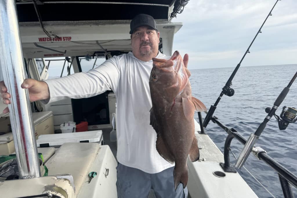 OFFSHORE-redgrouper