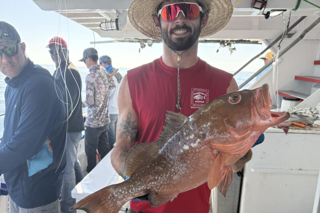 OFFSHORE-redgrouper (4)