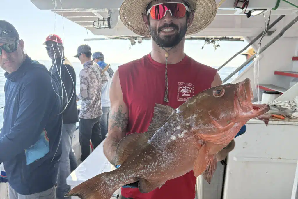 OFFSHORE-redgrouper (4)