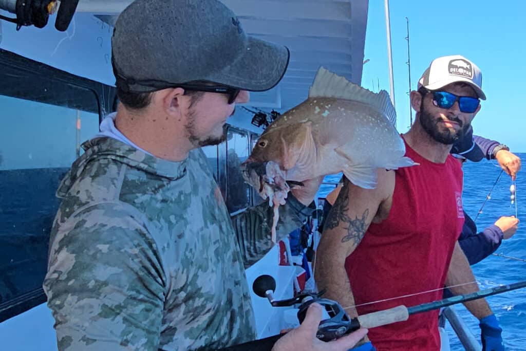 OFFSHORE-redgrouper (6)