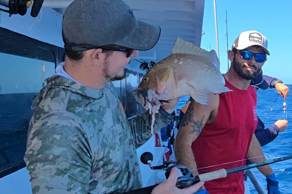 OFFSHORE-redgrouper (6)