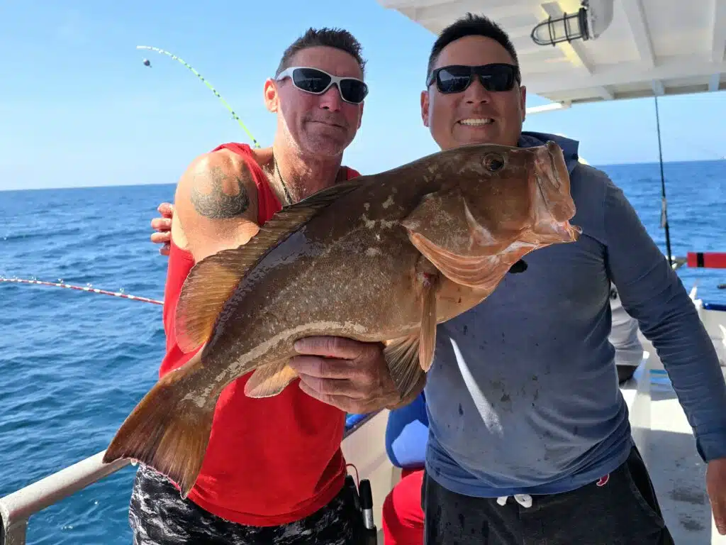 OFFSHORE-redgrouper (6)