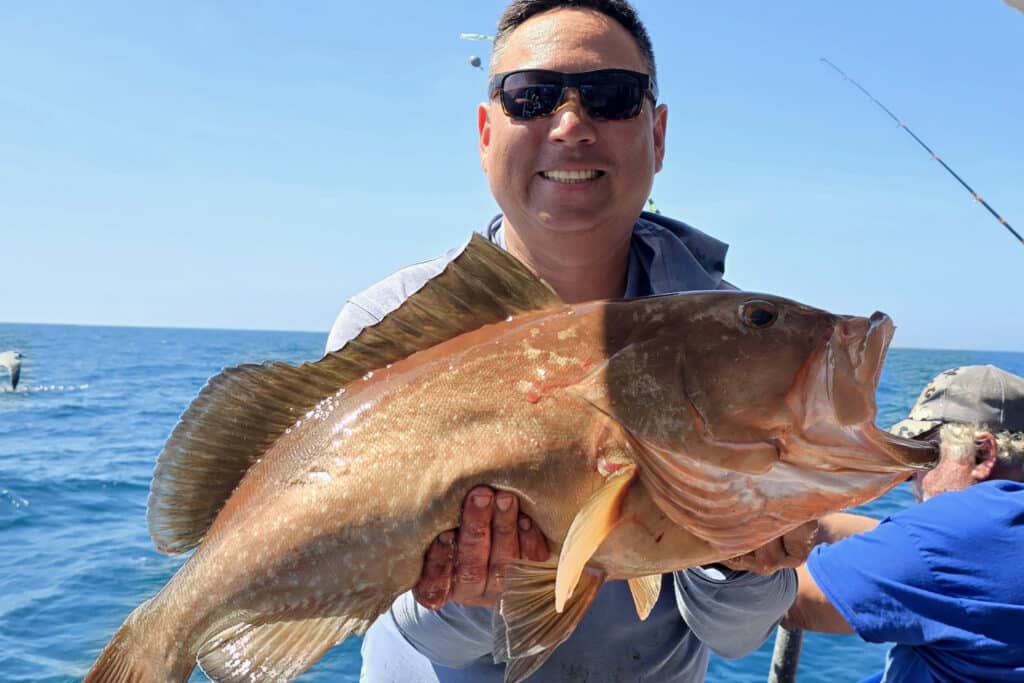 OFFSHORE-redgrouper (7)