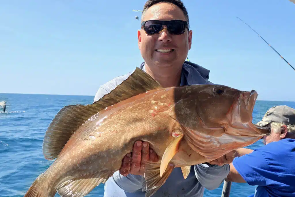 OFFSHORE-redgrouper (7)