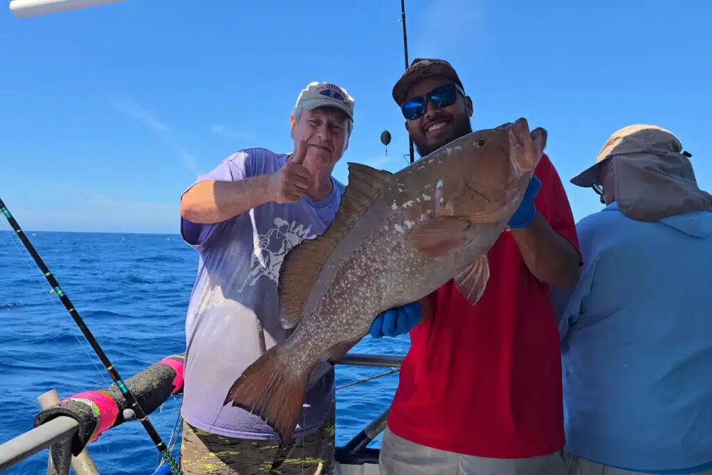 OFFSHORE-redgrouper (9)