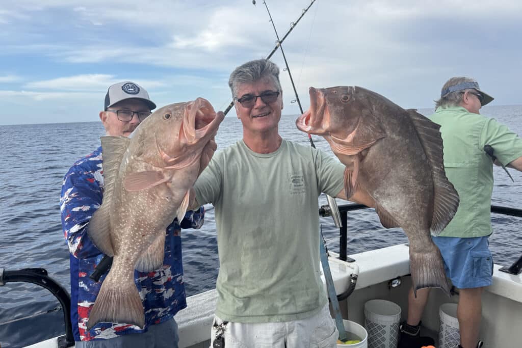OFFSHORE-redgrouper-best