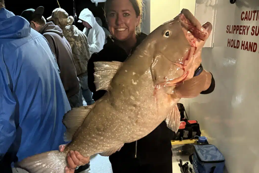 OFFSHORE-redgrouper2