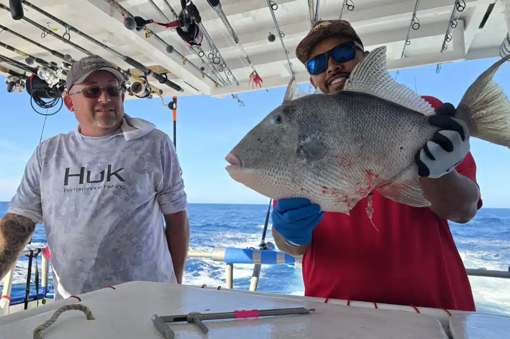 OFFSHORE-triggerfish (1)