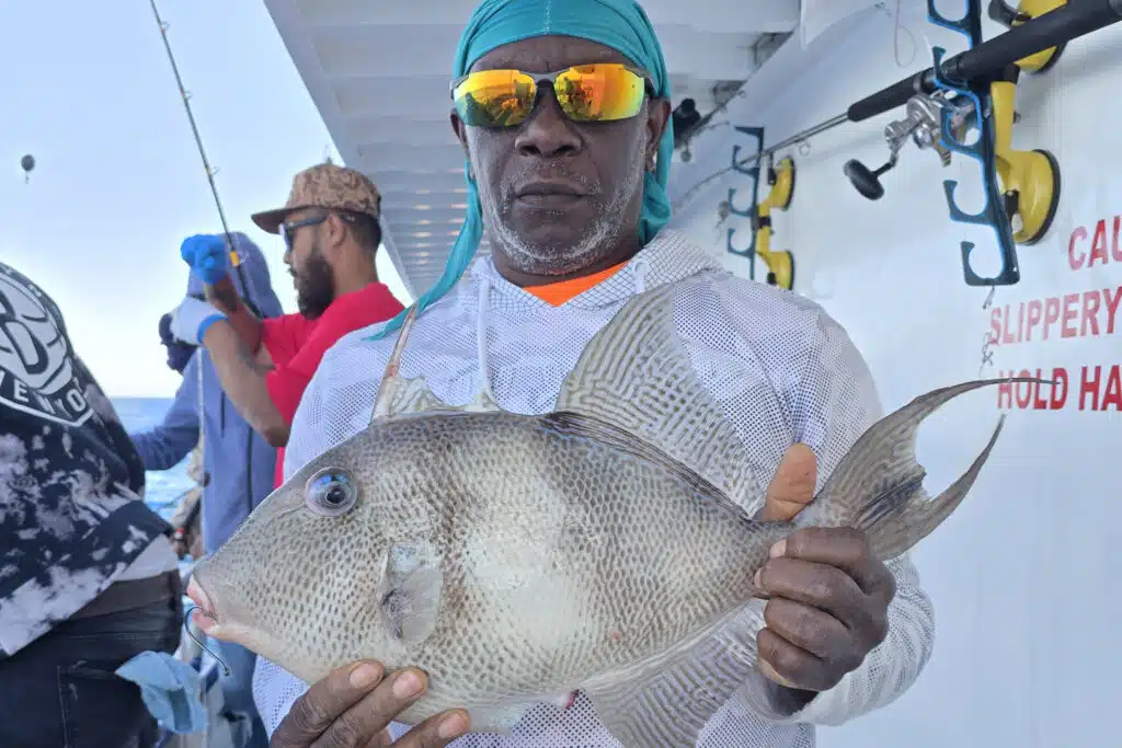 OFFSHORE-triggerfish