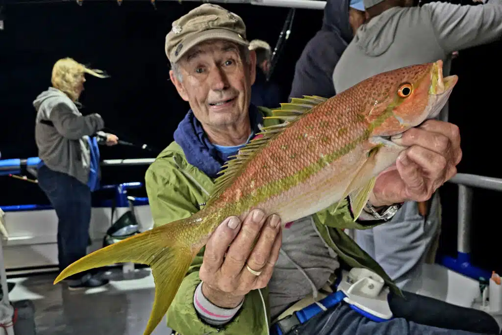 OFFSHORE-yellowtailsnapper