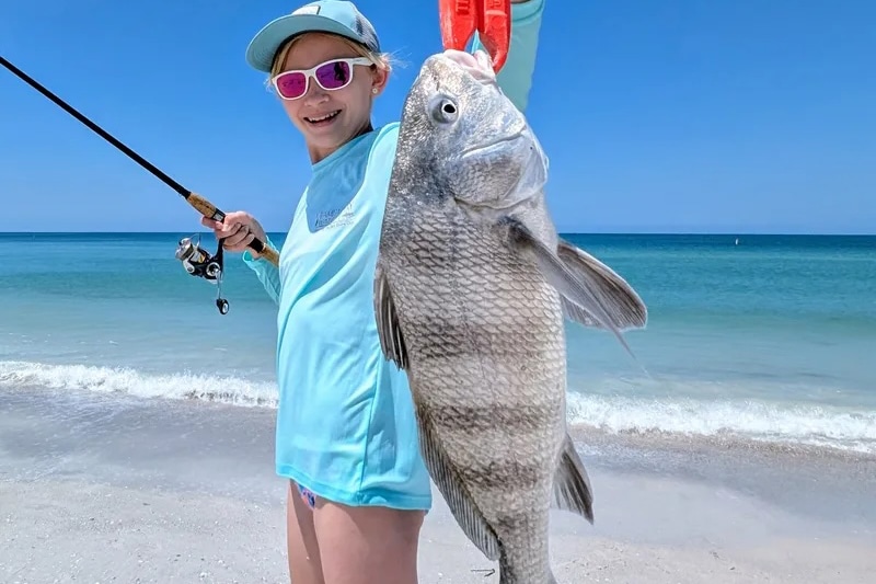 INSHORE-blackdrum