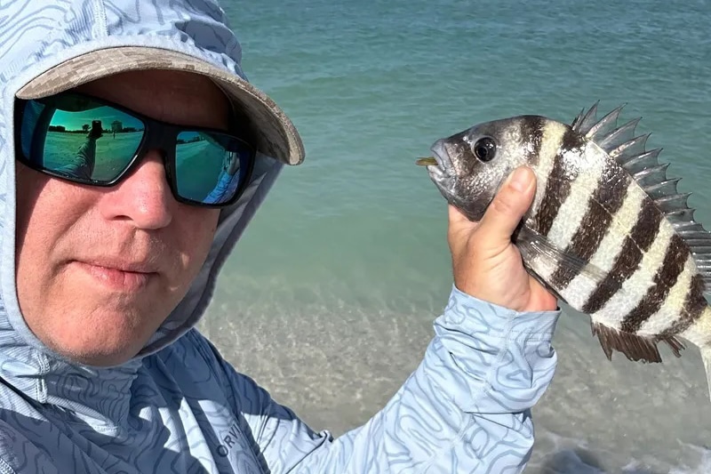INSHORE-sheepshead