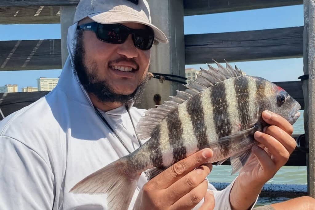 INSHORE-sheepshead