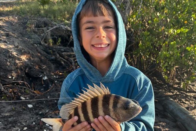 INSHORE-sheepshead