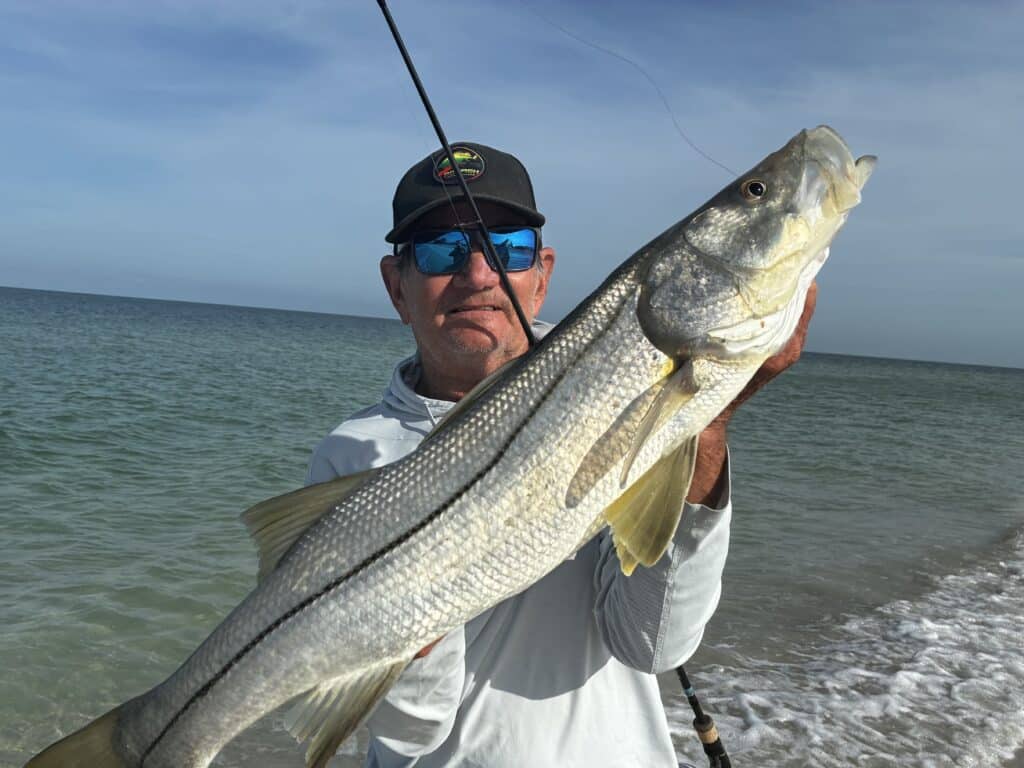 INSHORE-snook (1)