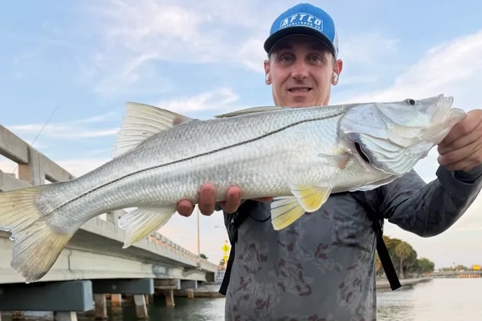 INSHORE-snook