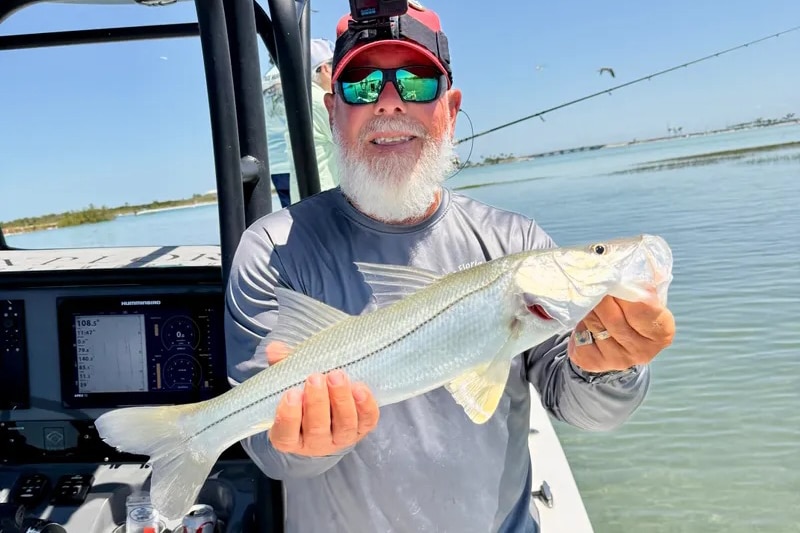 INSHORE-snook2