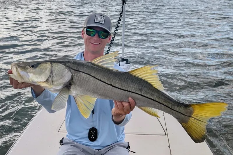 INSHORE-snook3