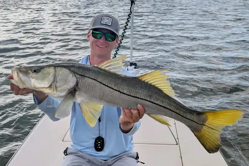 INSHORE-snook3