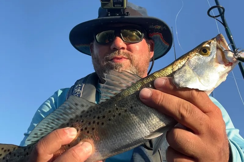 INSHORE-trout4
