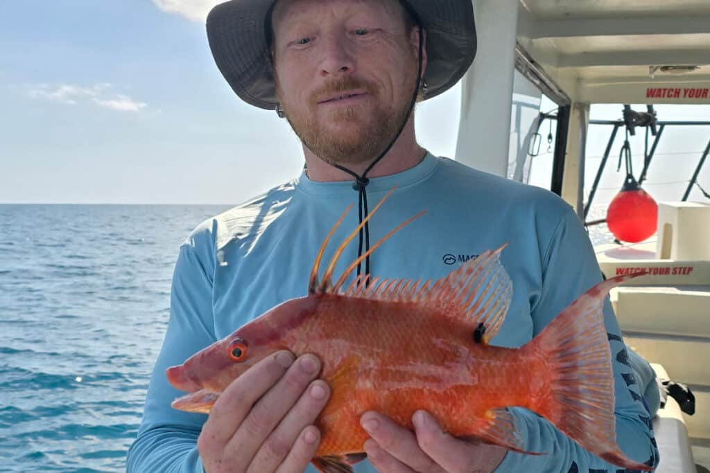 NEARSHORE-hogfish (1)