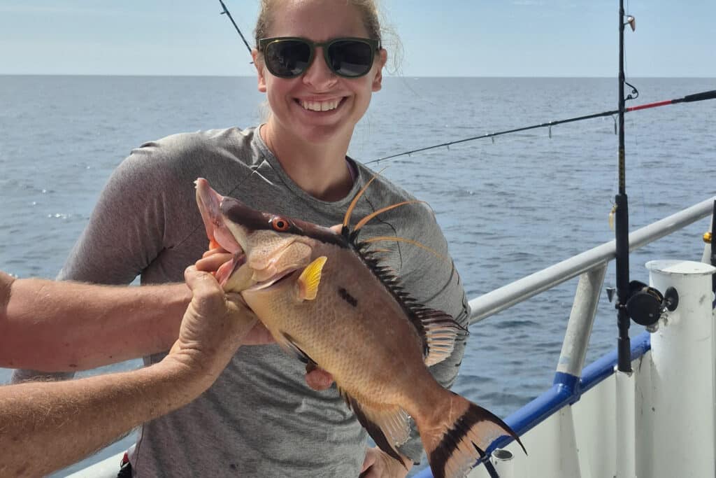 NEARSHORE-hogfish