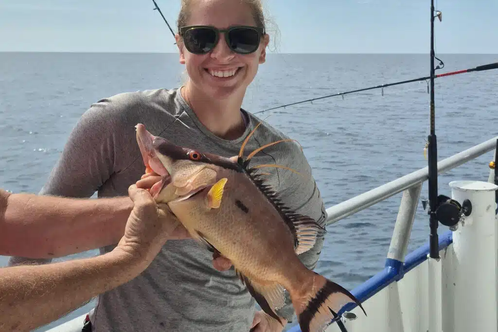 NEARSHORE-hogfish