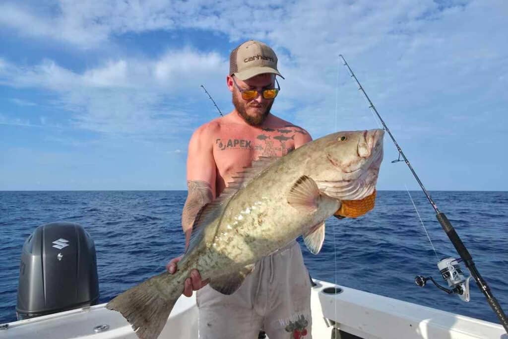 OFFSHORE-gag