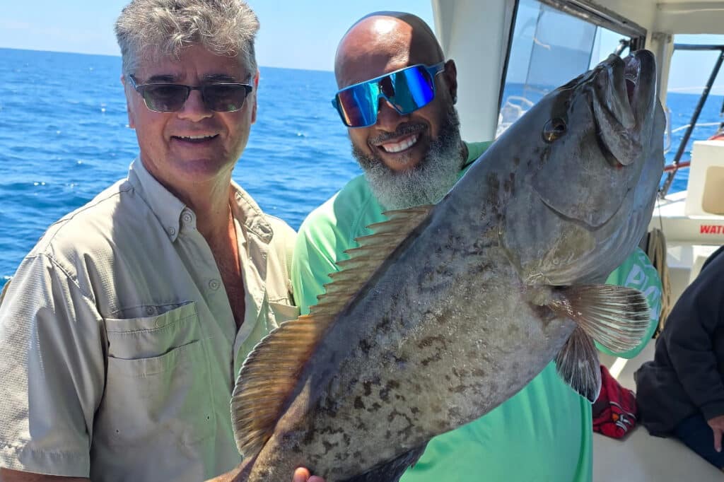 OFFSHORE-gaggrouper