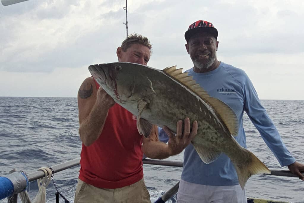 OFFSHORE-gaggrouper