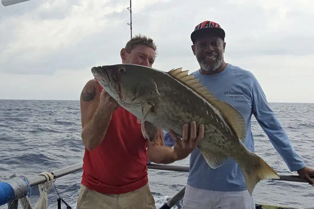 OFFSHORE-gaggrouper